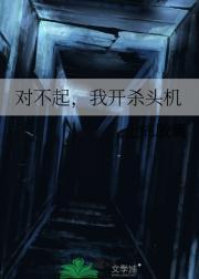 对不起，我开杀头机