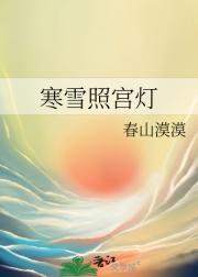 寒雪照宫灯